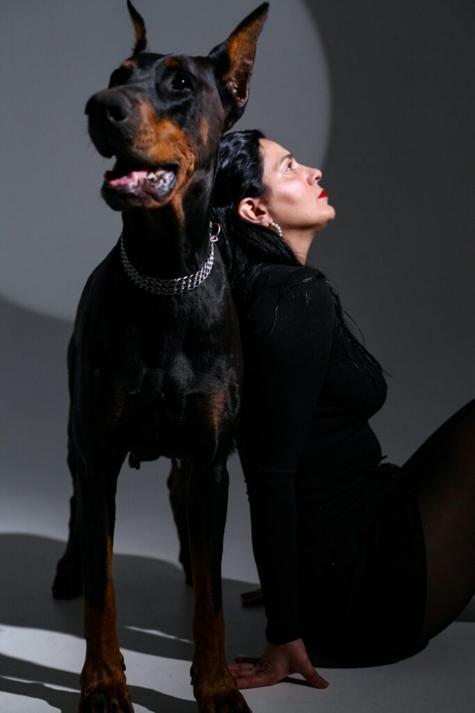 aggressive Doberman